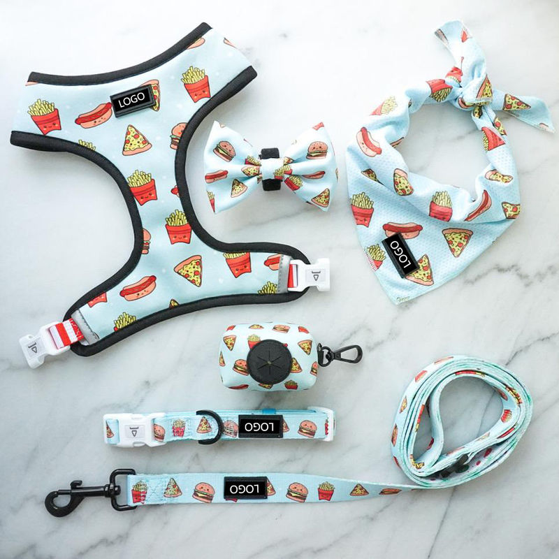 Grupo macio de Mesh Nylon Pattern Dog Collar e da trela