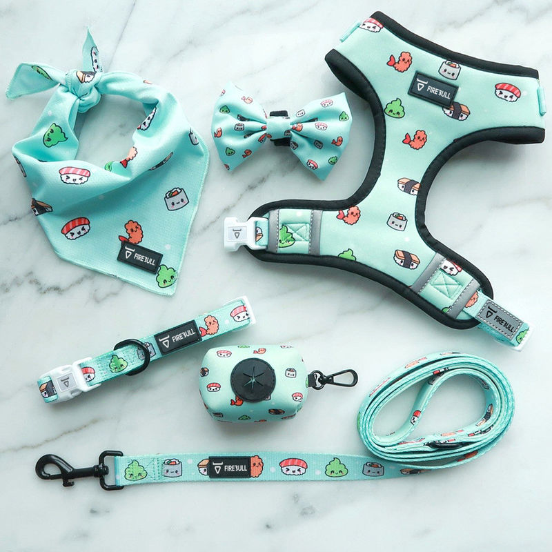 Grupo macio de Mesh Nylon Pattern Dog Collar e da trela