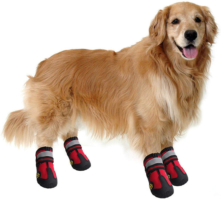 Botas de passeio do cão do saco de Opp para cães com sola áspera do deslizamento das tiras reflexivas a anti