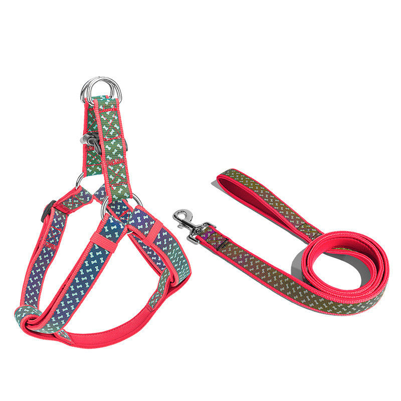 Dos acessórios macios dos animais de estimação do neopreno dos colares de cão de estimação da trela do cão grupo exclusivo reflexivo da trela do chicote de fios da corda do animal de estimação