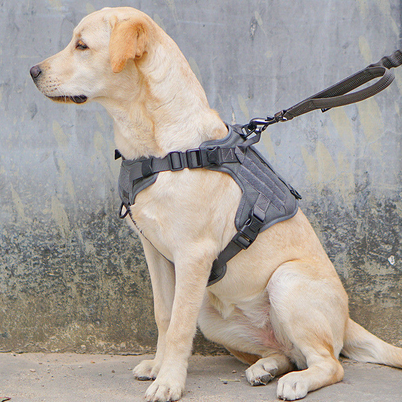 Chicote de fios militar tático do cão da veste com segurança tática do ODM Molle da curvatura para o serviço &amp; a veste militar de formação do cão