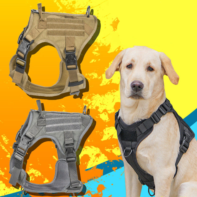 Chicote de fios militar tático do cão da veste com segurança tática do ODM Molle da curvatura para o serviço &amp; a veste militar de formação do cão