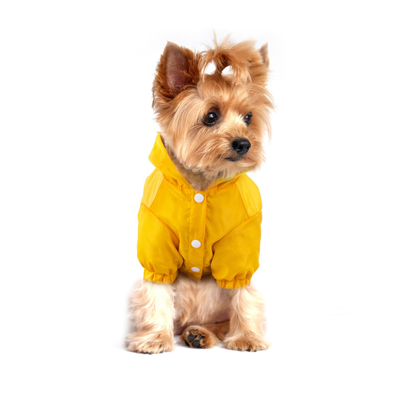 Revestimentos luminosos originais da chuva da capa de chuva reflexiva exterior do animal de estimação com o saco do armazenamento para cães