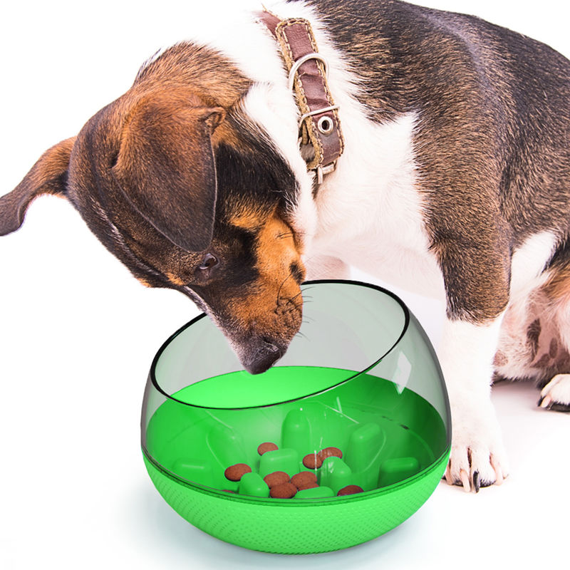 O derramamento lento da bacia do treinamento do alimento para cães do animal de estimação impermeabiliza a bacia lenta 19*19*13.5cm do cão comer