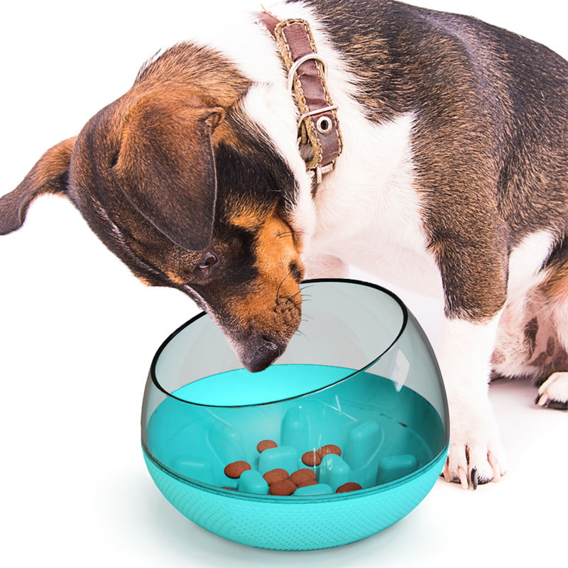 O derramamento lento da bacia do treinamento do alimento para cães do animal de estimação impermeabiliza a bacia lenta 19*19*13.5cm do cão comer