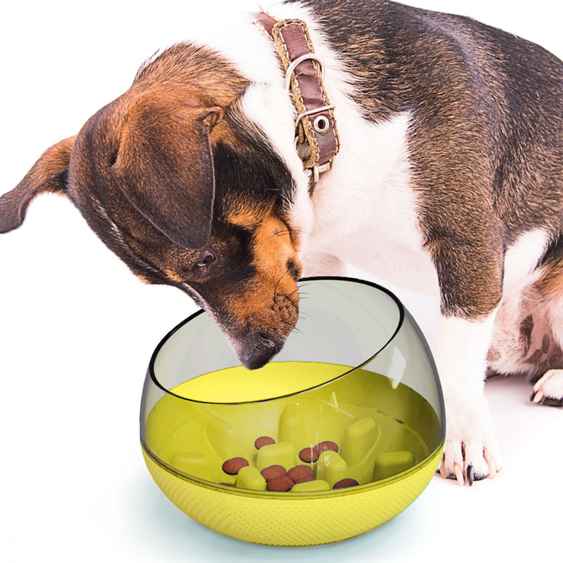 O derramamento lento da bacia do treinamento do alimento para cães do animal de estimação impermeabiliza a bacia lenta 19*19*13.5cm do cão comer