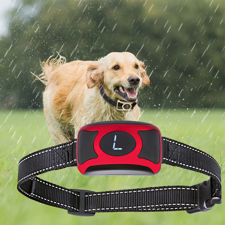 Produtos inovativos do treinamento do animal de estimação do controle nenhuns colares de choque do treinamento do cão da casca