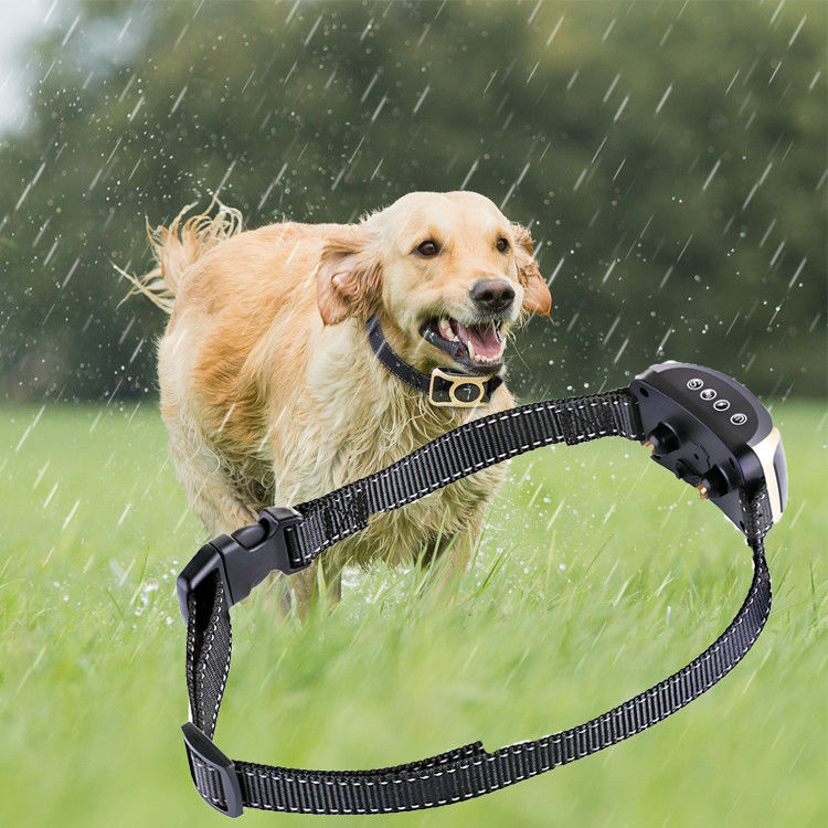 Produtos inovativos do treinamento do animal de estimação do controle nenhuns colares de choque do treinamento do cão da casca