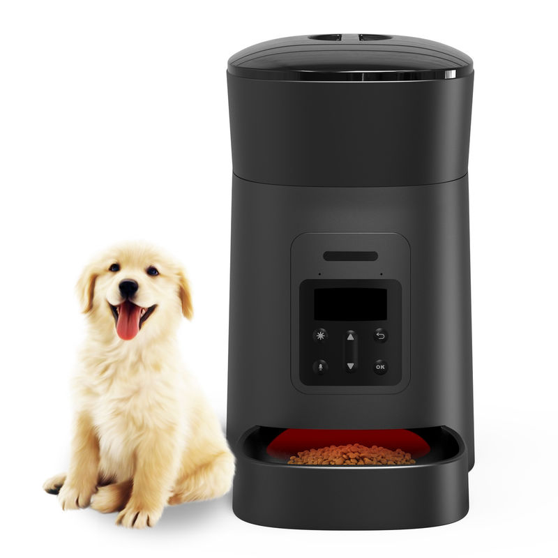 O alimentador do cão dos animais de estimação e o distribuidor automáticos da água com bacia do alimento projetaram