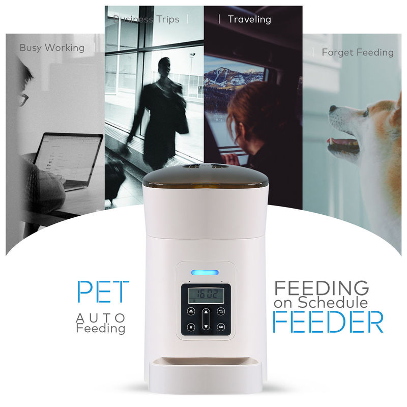 O alimentador do cão dos animais de estimação e o distribuidor automáticos da água com bacia do alimento projetaram
