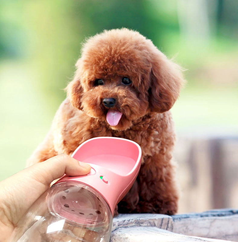 Garrafa de água dobrável portátil do cão do copo da bebida 12-20OZ para andar