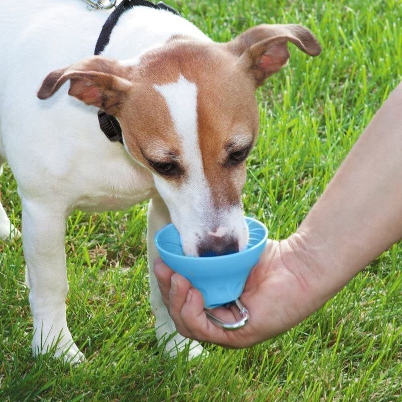 Garrafa de água e bacia exteriores destacáveis do cão do silicone garrafa bebendo do animal de estimação de 400 Ml
