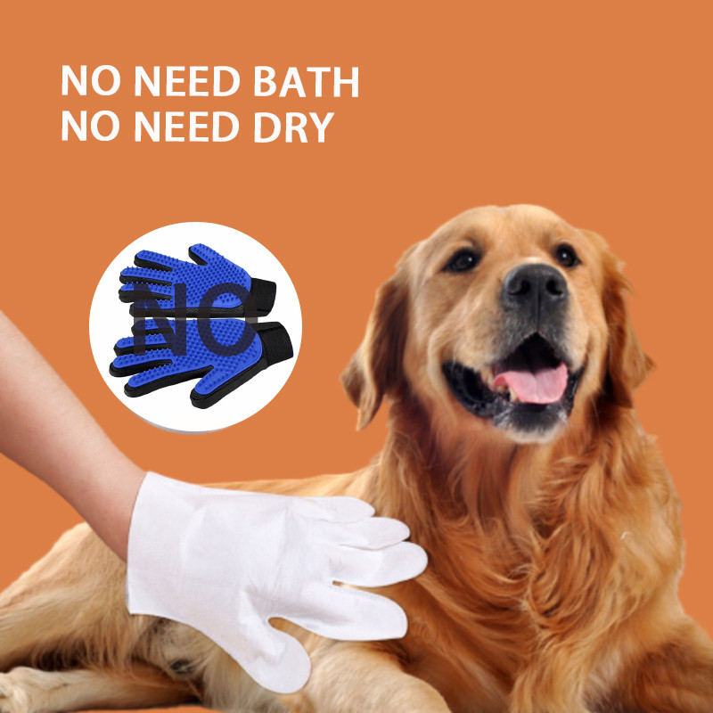 Cão descartável de toque seco de limpeza exterior Cat No Washing das luvas do animal de estimação da sujeira das bactérias